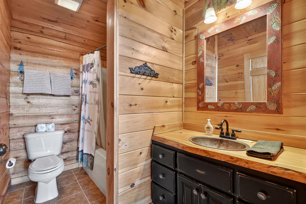 180 Cinnamon Bear Road Mineral Bluff, GA 30559 - Photo 36 of 76 a bathroom with a sink a toilet and shower