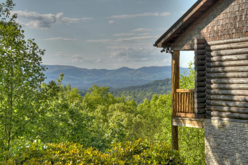 180 Cinnamon Bear Road Mineral Bluff, GA 30559 - Photo 4 of 76 a view of a yard front of house