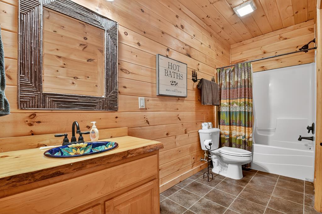180 Cinnamon Bear Road Mineral Bluff, GA 30559 - Photo 53 of 76 a bathroom with a sink a toilet and shower curtain