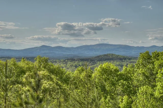 $995,000 | 180 Cinnamon Bear Road, Mineral Bluff, GA 30559