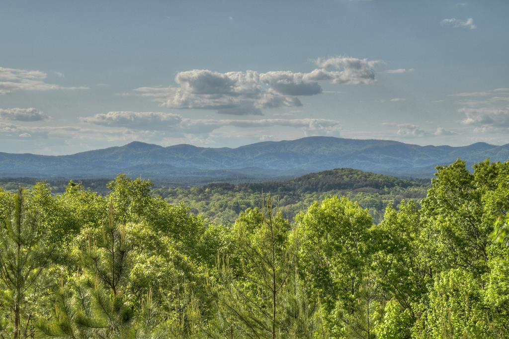 180 Cinnamon Bear Road Mineral Bluff, GA 30559 - Photo 62 of 76
