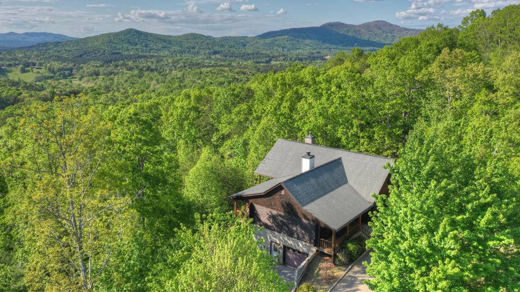 180 Cinnamon Bear Road Mineral Bluff, GA 30559 - Photo 69 of 76 an aerial view of a house with a yard