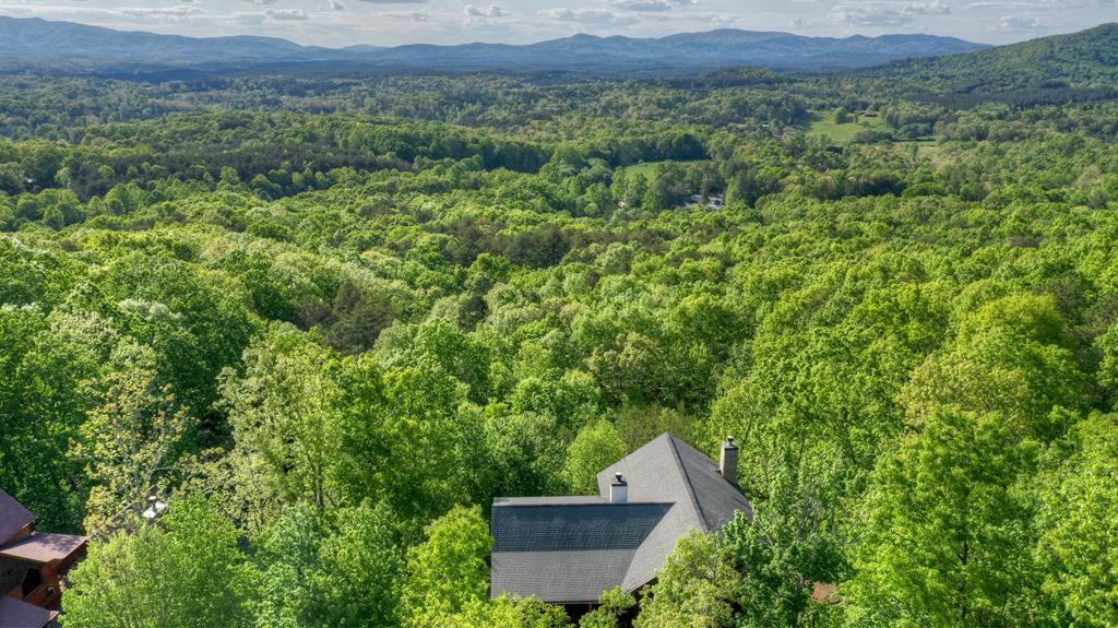 180 Cinnamon Bear Road Mineral Bluff, GA 30559 - Photo 71 of 76