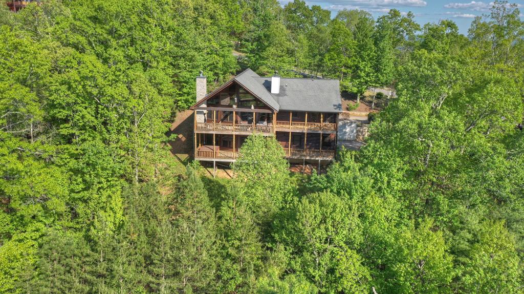 180 Cinnamon Bear Road Mineral Bluff, GA 30559 - Photo 72 of 76 an aerial view of a house with a yard