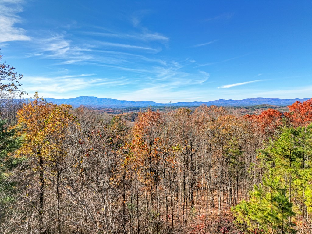 180 Cinnamon Bear Road Mineral Bluff, GA 30559 - Photo 74 of 76