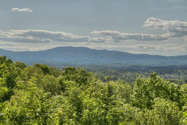 $995,000 | 180 Cinnamon Bear Road, Mineral Bluff, GA 30559