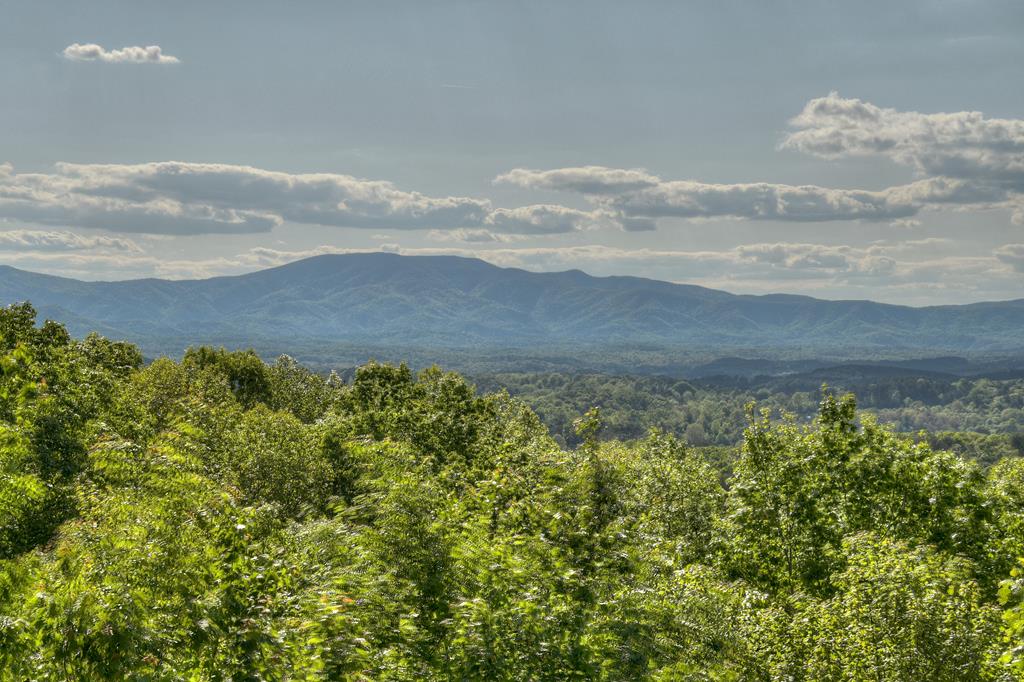 180 Cinnamon Bear Road Mineral Bluff, GA 30559 - Photo 76 of 76