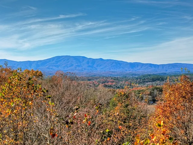 a view of a house with backyard and garden