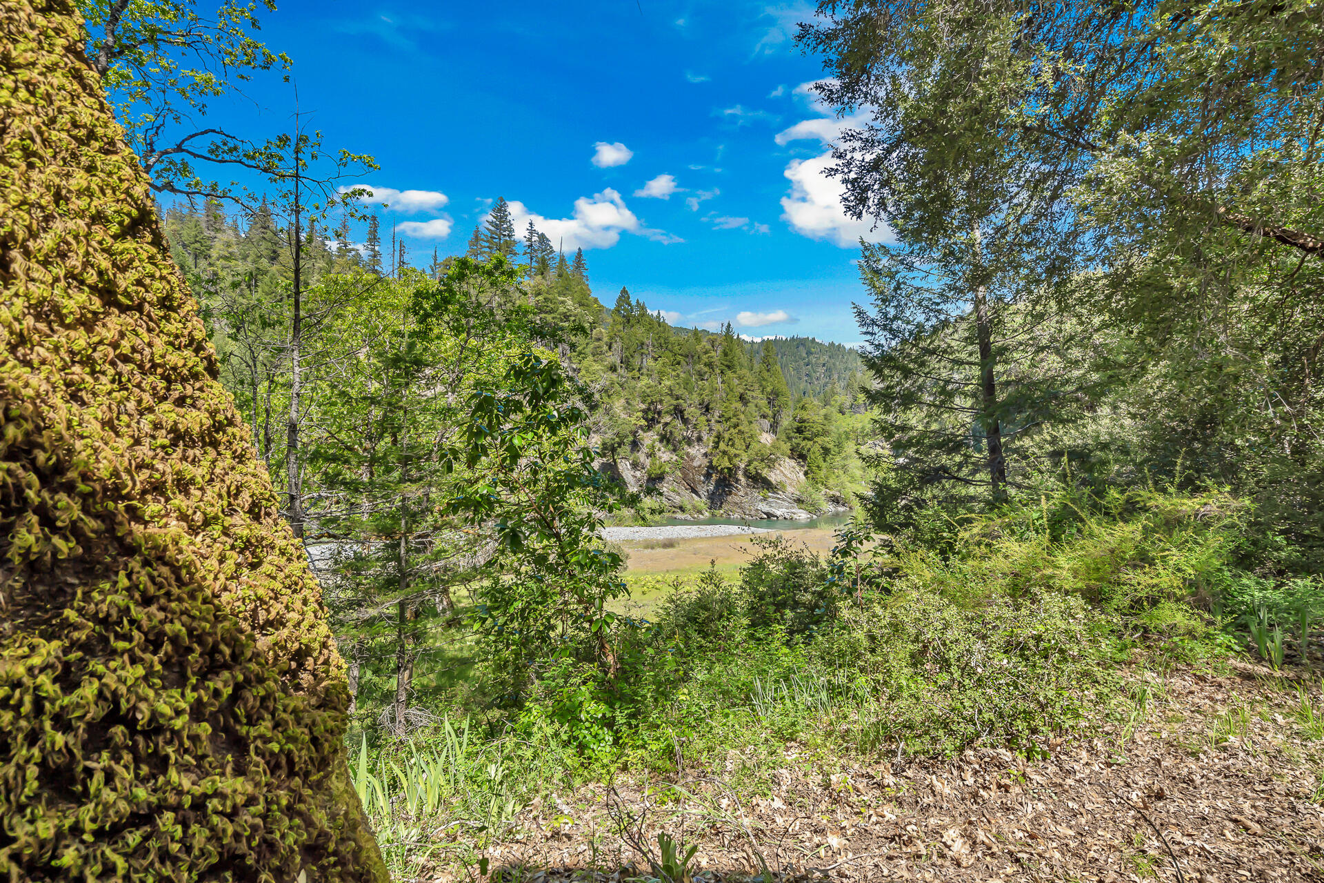 9490 St John Road Hyampom, CA 96046 - Photo 47 of 56 Land, River