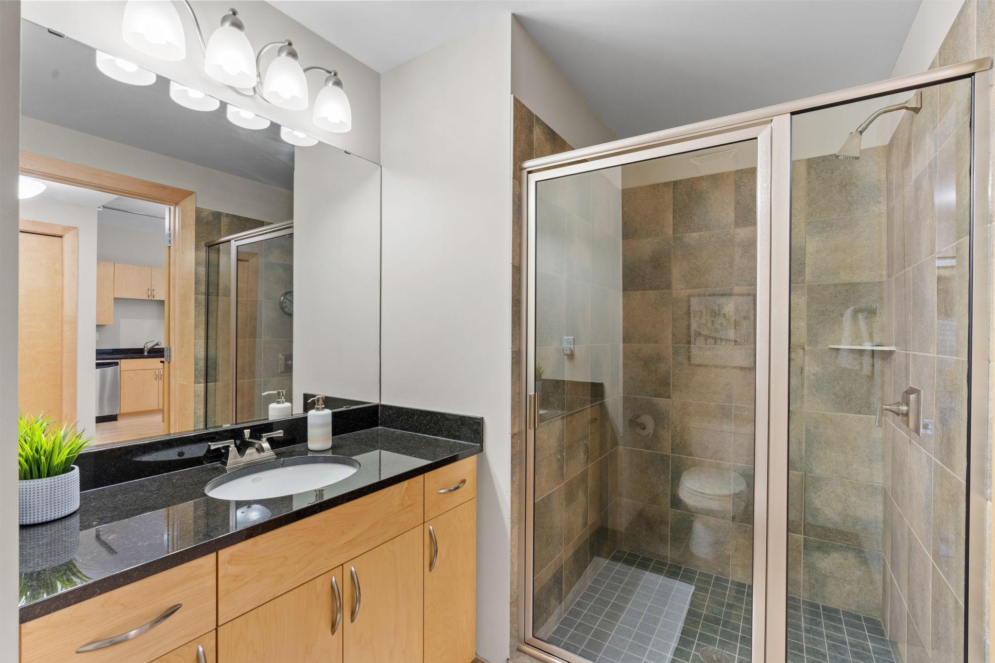 215 10th Avenue South, Unit 533 Minneapolis, MN 55415 - Photo 14 of 65 Gallery Image 14