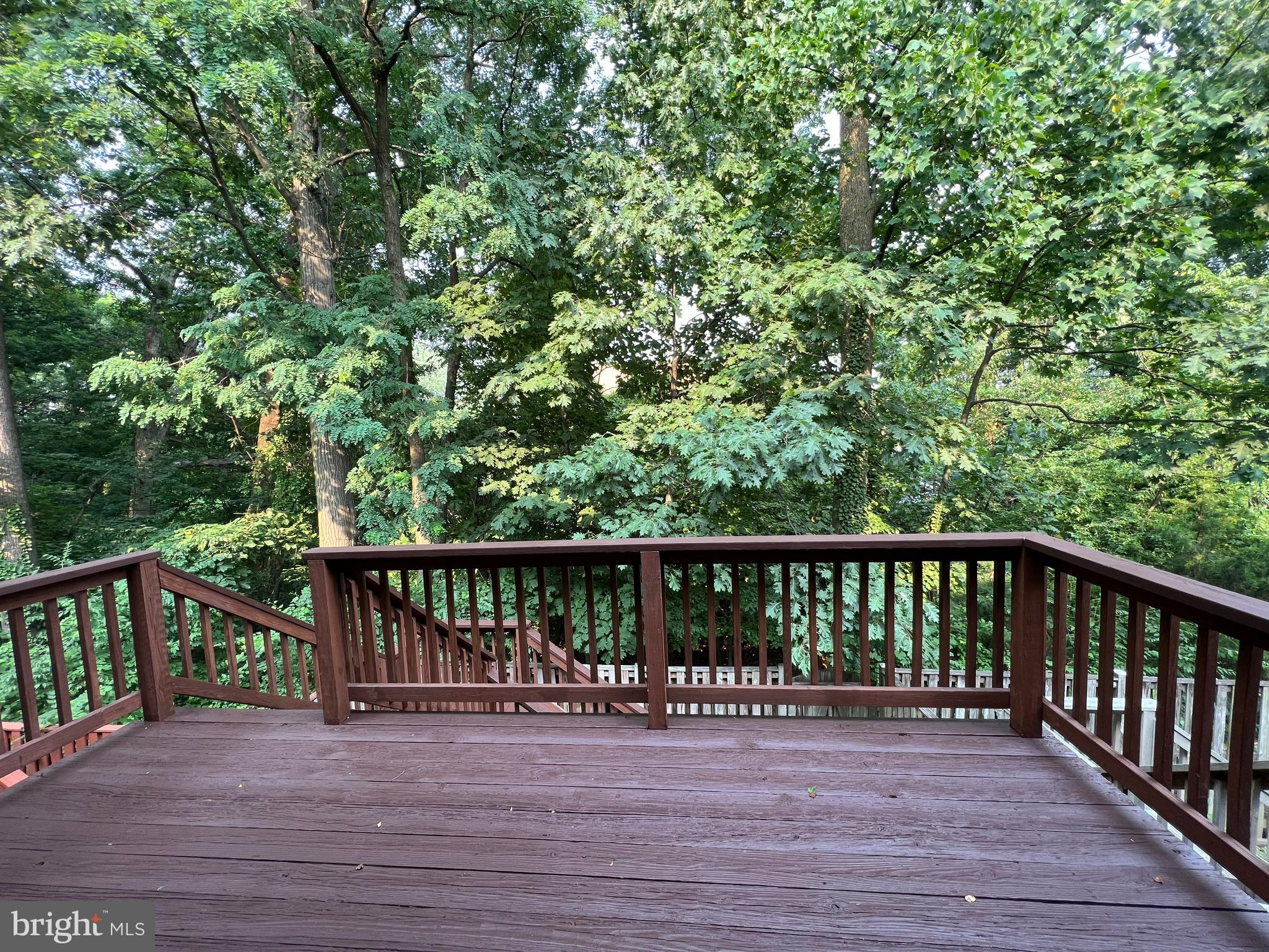 2607 Chivalry Court Silver Spring, MD 20902 - Photo 9 of 38 Dine alfresco from your expansive deck!