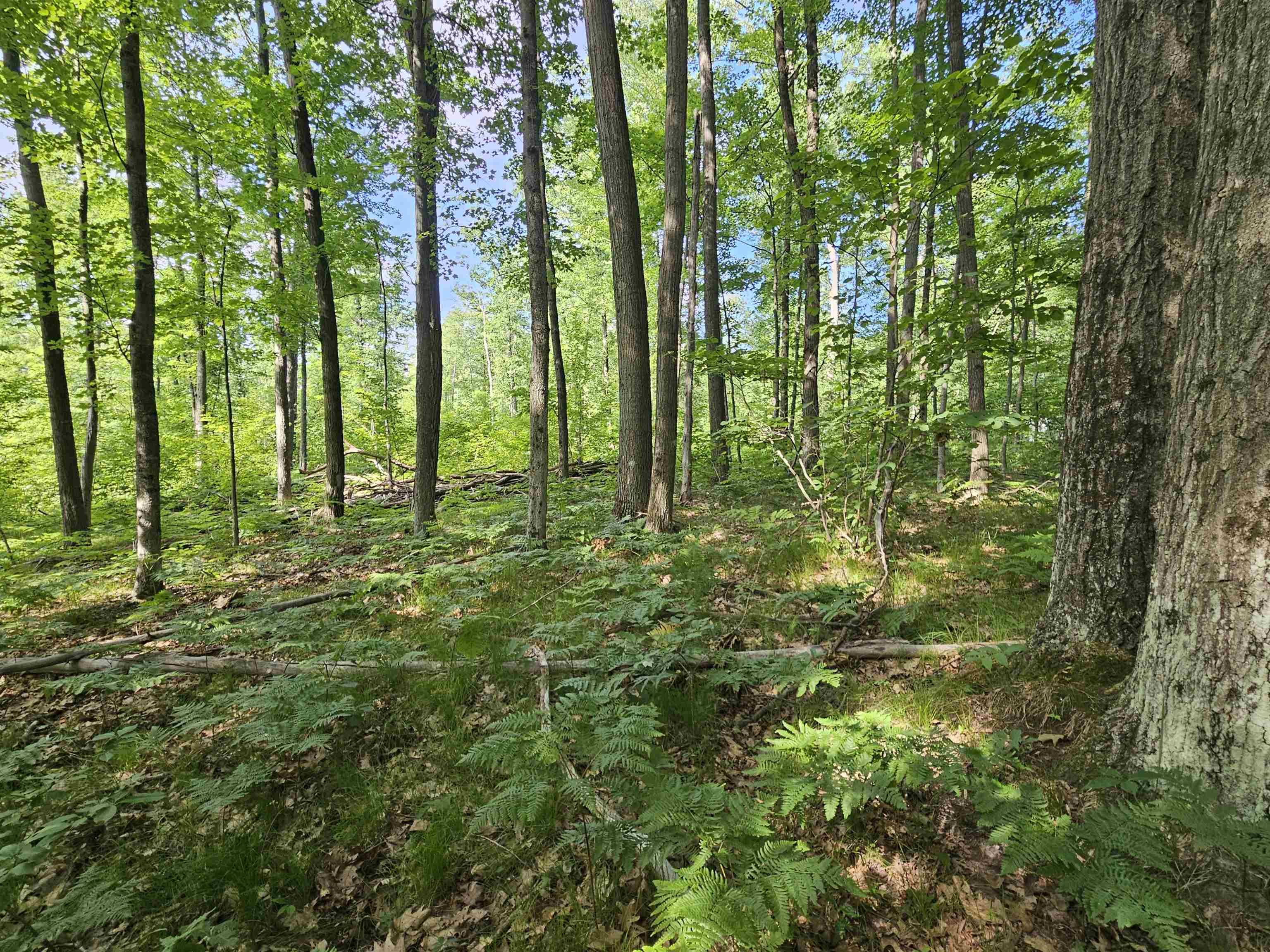 3020 Cedar Road Harrison, MI 48625 - Photo 31 of 37 Gallery Image 31