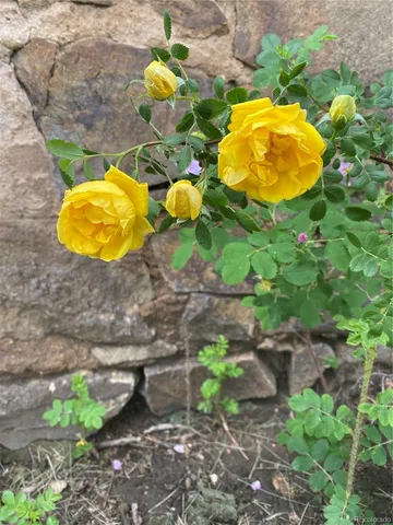 a view of a swimming pool