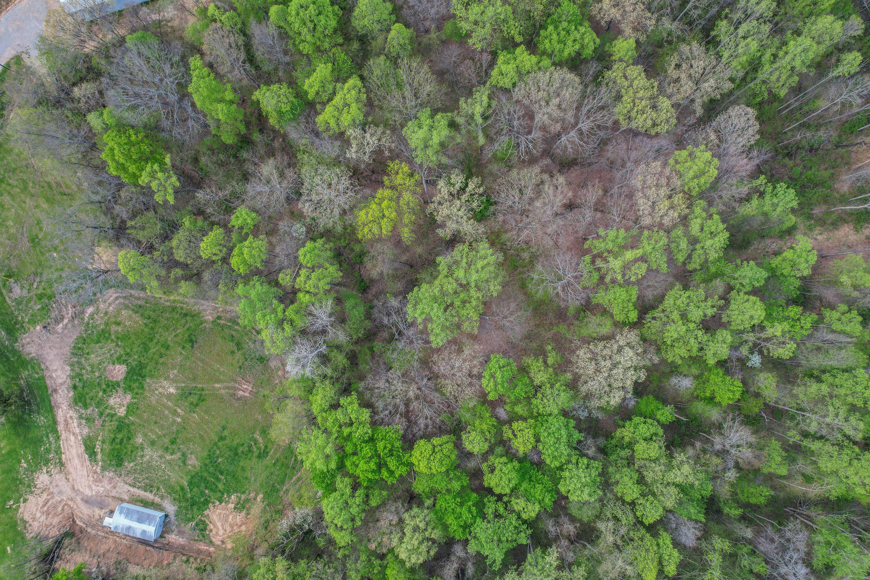 36050 Smith Chapel Road Logan, OH 43138 - Photo 87 of 99 93-print-DJI_0338