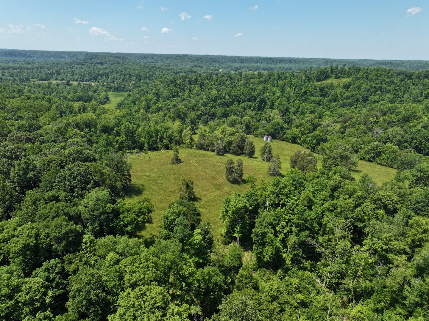110 Wade Reed Road White Bluff, TN 37187 - Photo 22 of 80