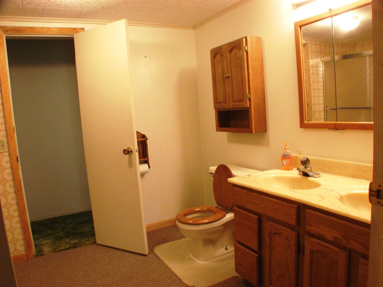 4266 West Birmingham Road Alma, MI 48801 - Photo 11 of 21 1854756-13.JPG