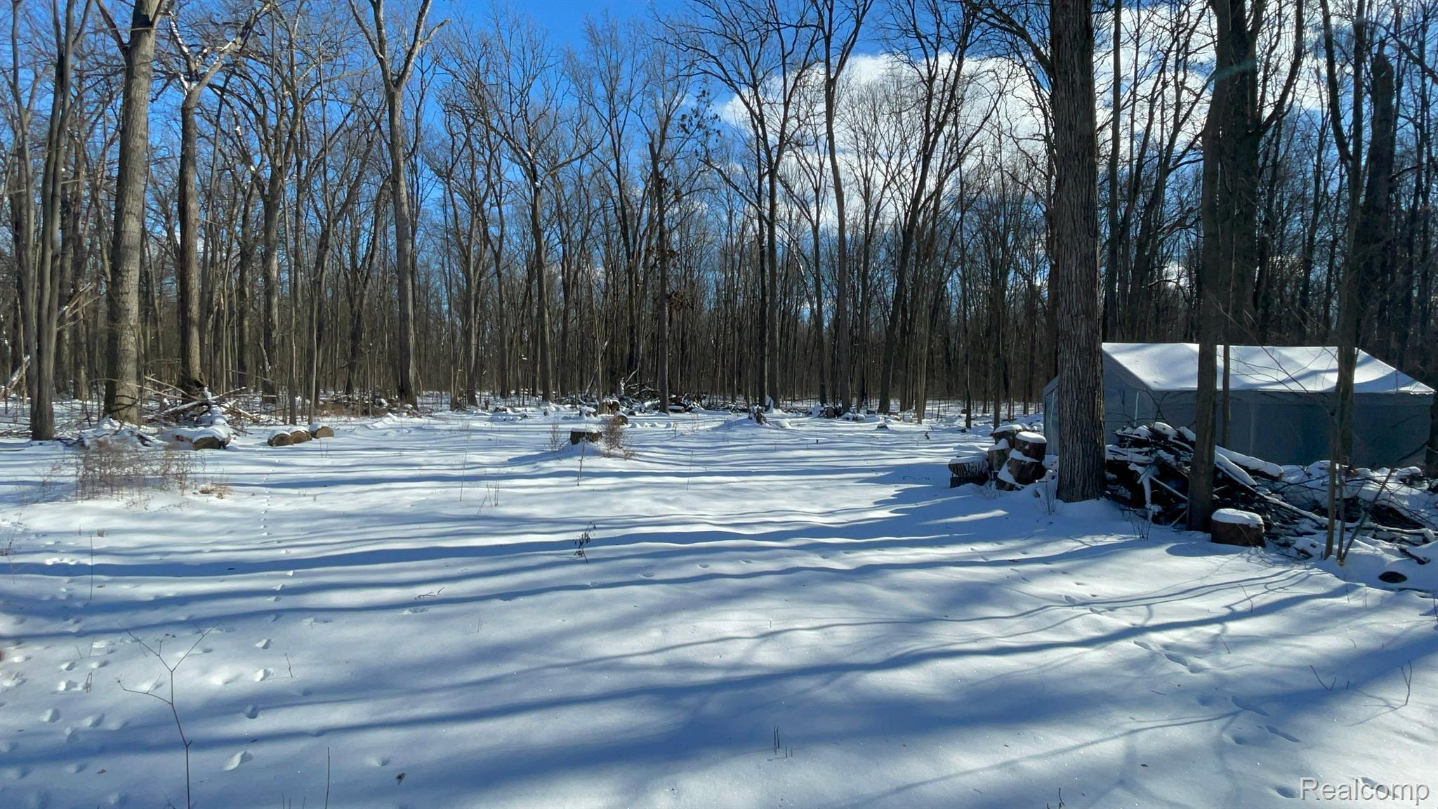 33891 Beverly Road Romulus, MI 48174 - Photo 26 of 31 Photo by Syncere Harris