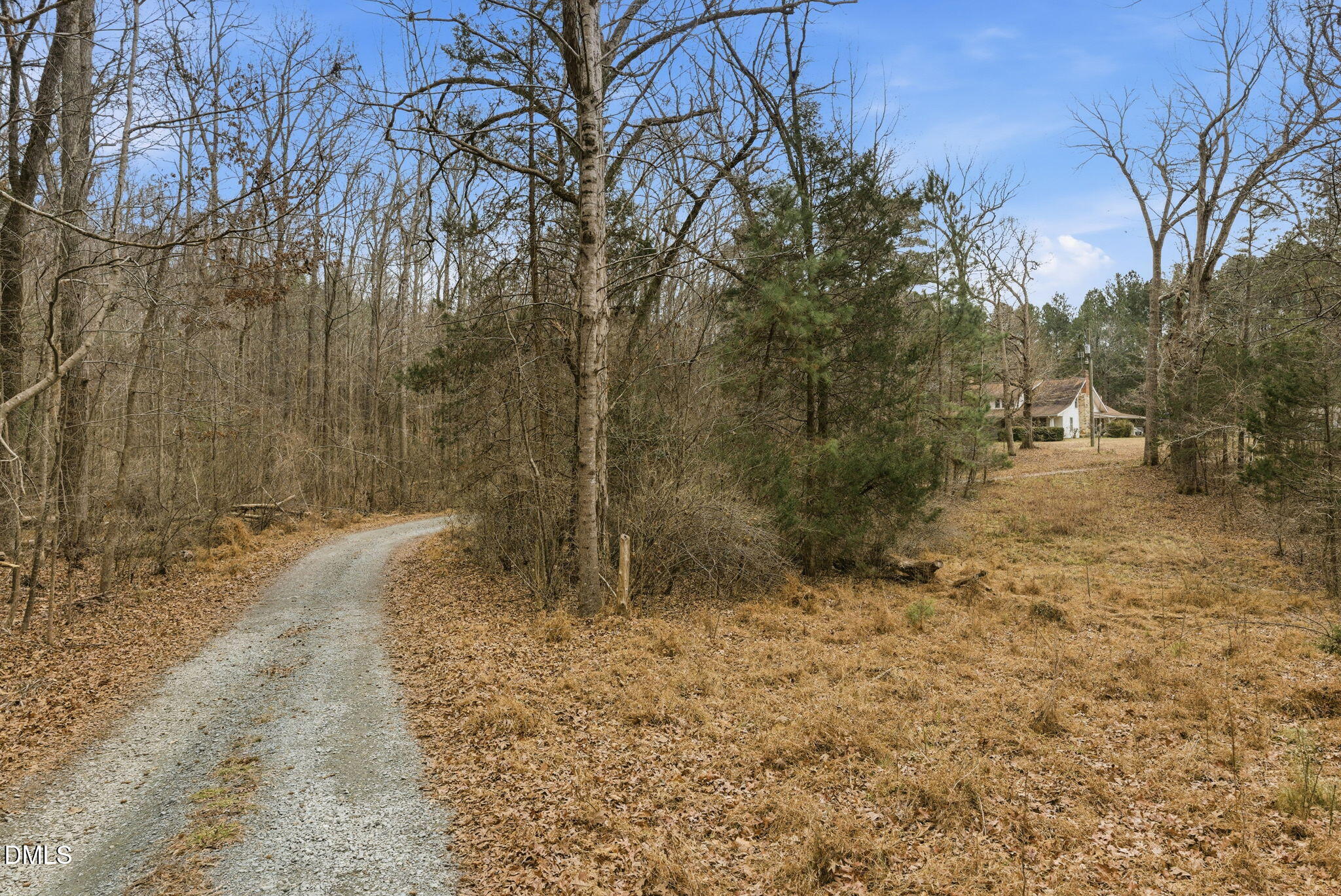 2319 White Cross Road Chapel Hill, NC 27516 - Photo 6 of 28 a view of a yard with trees
