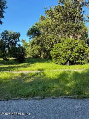 a view of a big yard with plants and large trees