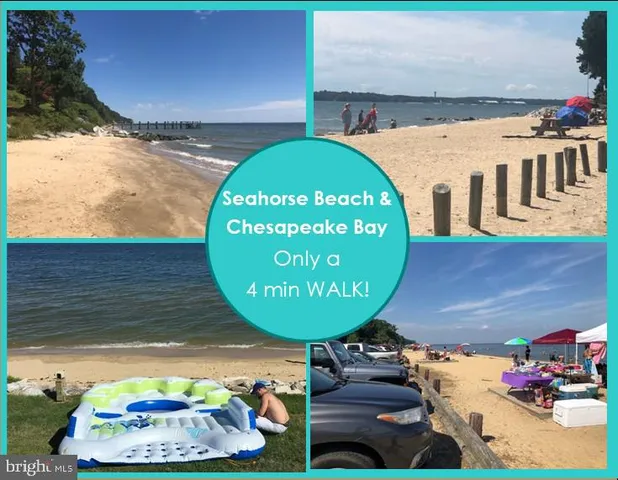 a view of a bunch of flowers