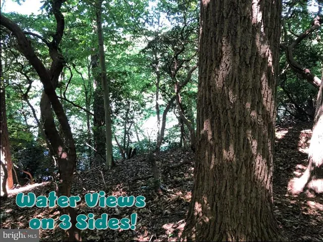 a view of outdoor space