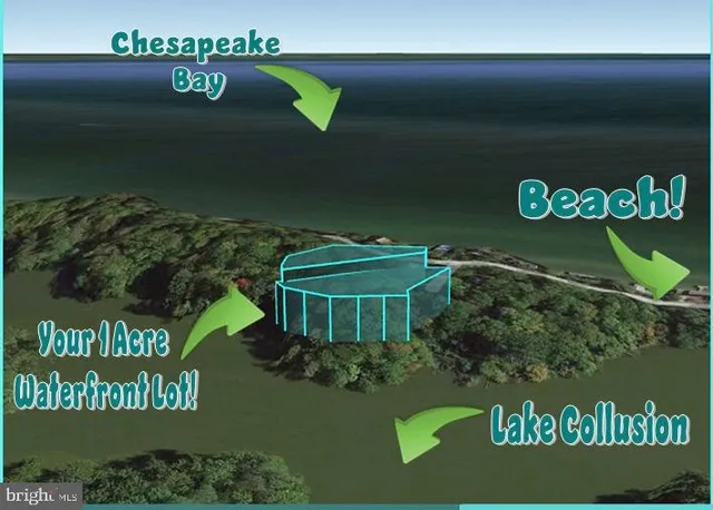 a view of a tree in a yard