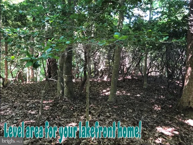 a view of a street with a bench in front of house