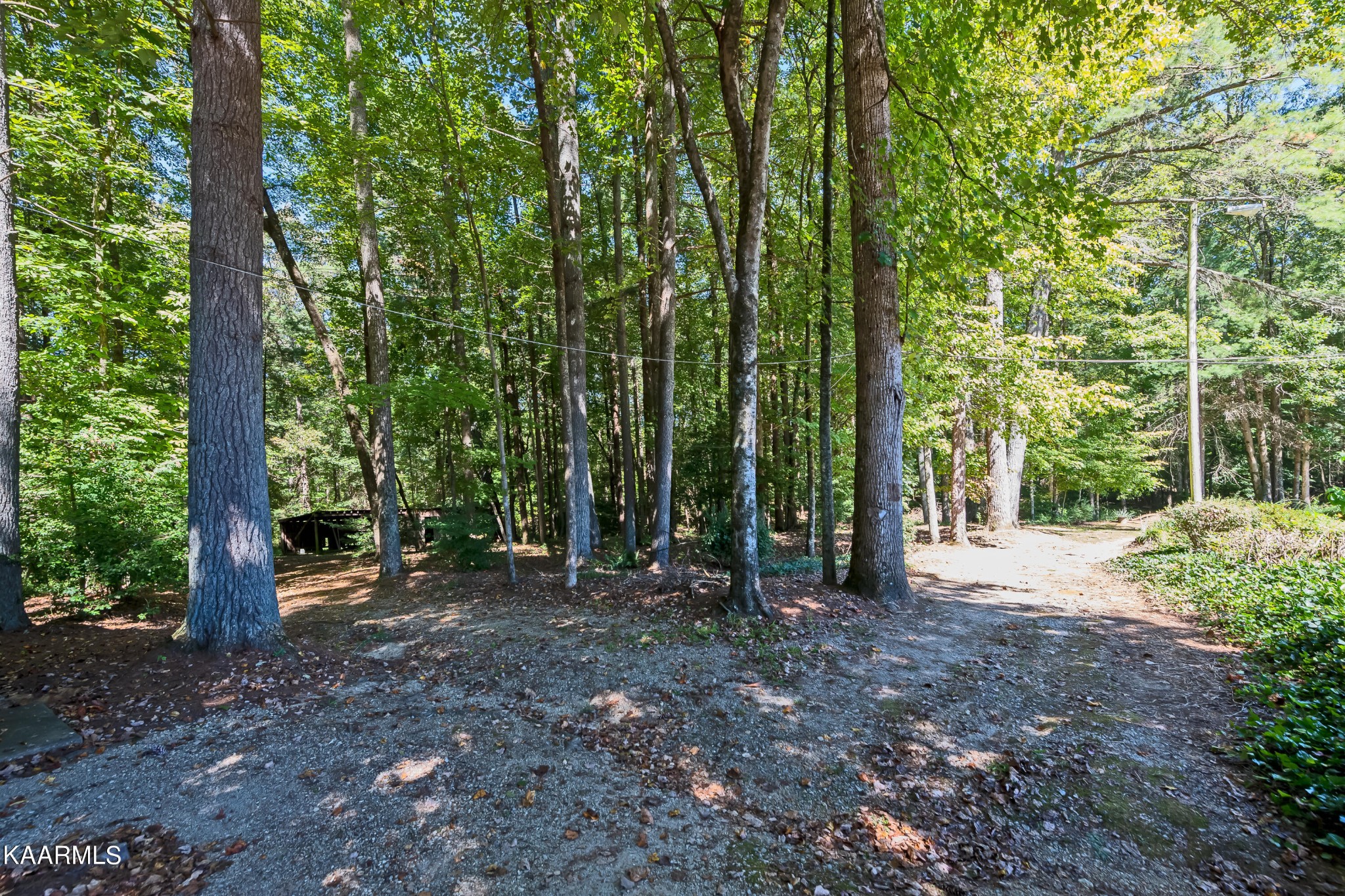 386 Back Valley Road Oliver Springs, TN 37840 - Photo 57 of 59 Gallery Image 57