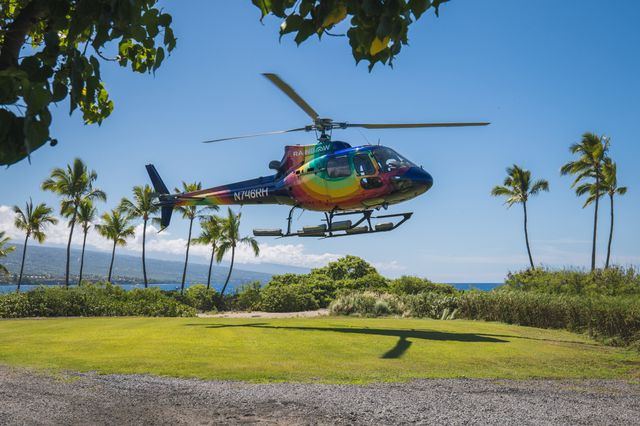 a view of a backyard with plants and outdoor seating