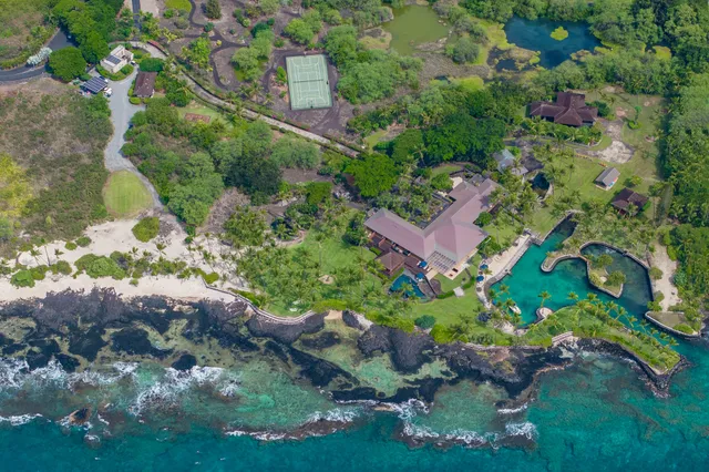 a view of a garden with plants