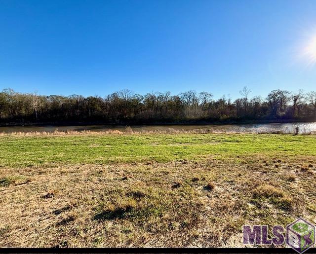 0 Sanctuary Avenue Baton Rouge, LA 70817 - Photo 4 of 4