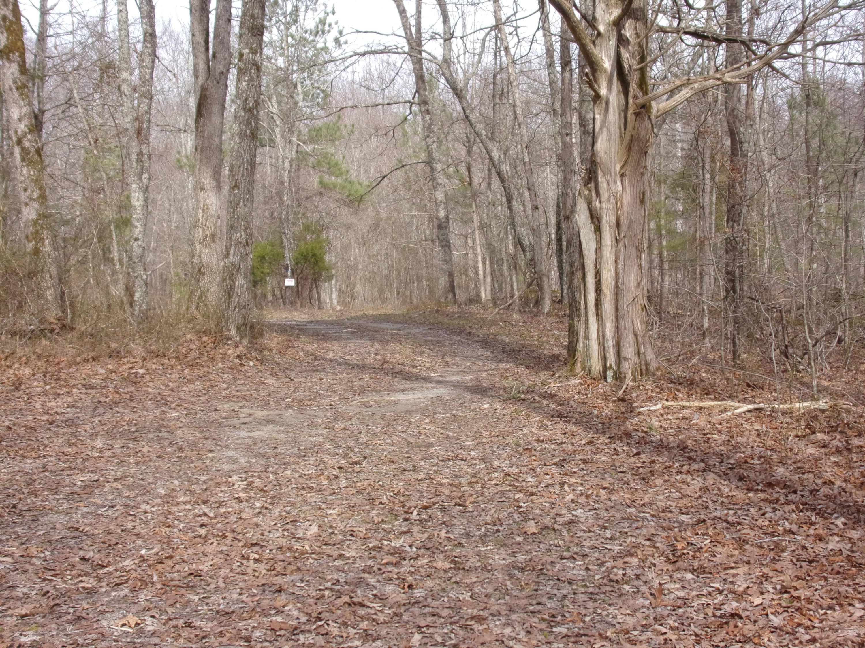 0 Barbee Cemetery Road Pikeville, TN 37367 - Photo 19 of 43 101_2430
