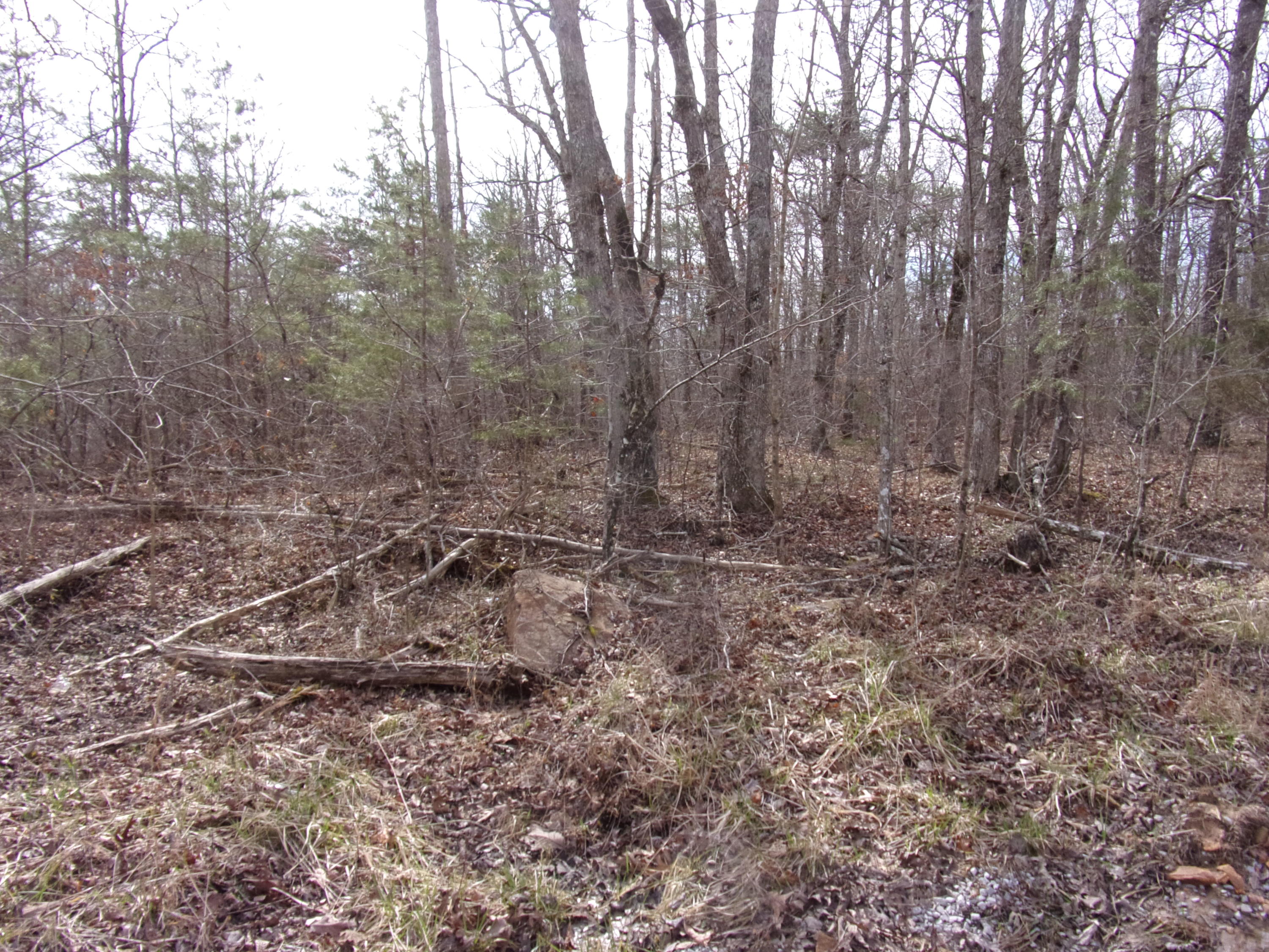 0 Barbee Cemetery Road Pikeville, TN 37367 - Photo 23 of 43 101_2438