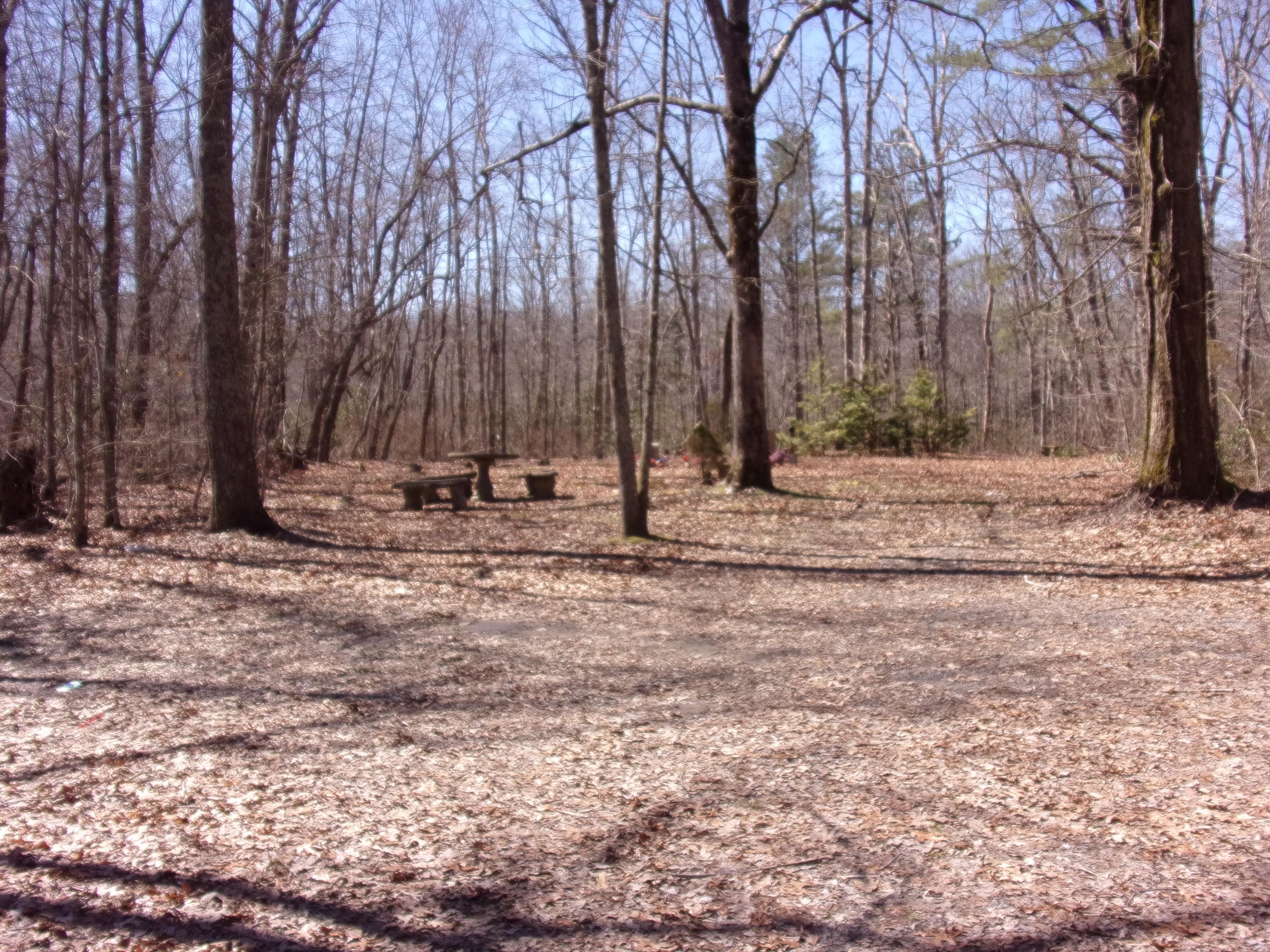 0 Barbee Cemetery Road Pikeville, TN 37367 - Photo 27 of 43 101_2633