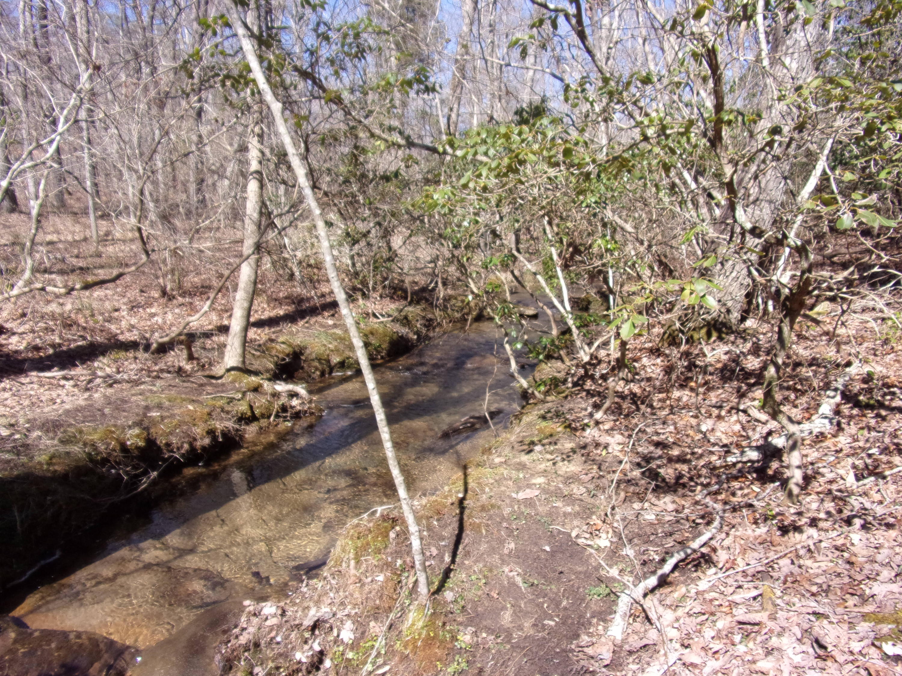 0 Barbee Cemetery Road Pikeville, TN 37367 - Photo 36 of 43 101_2643