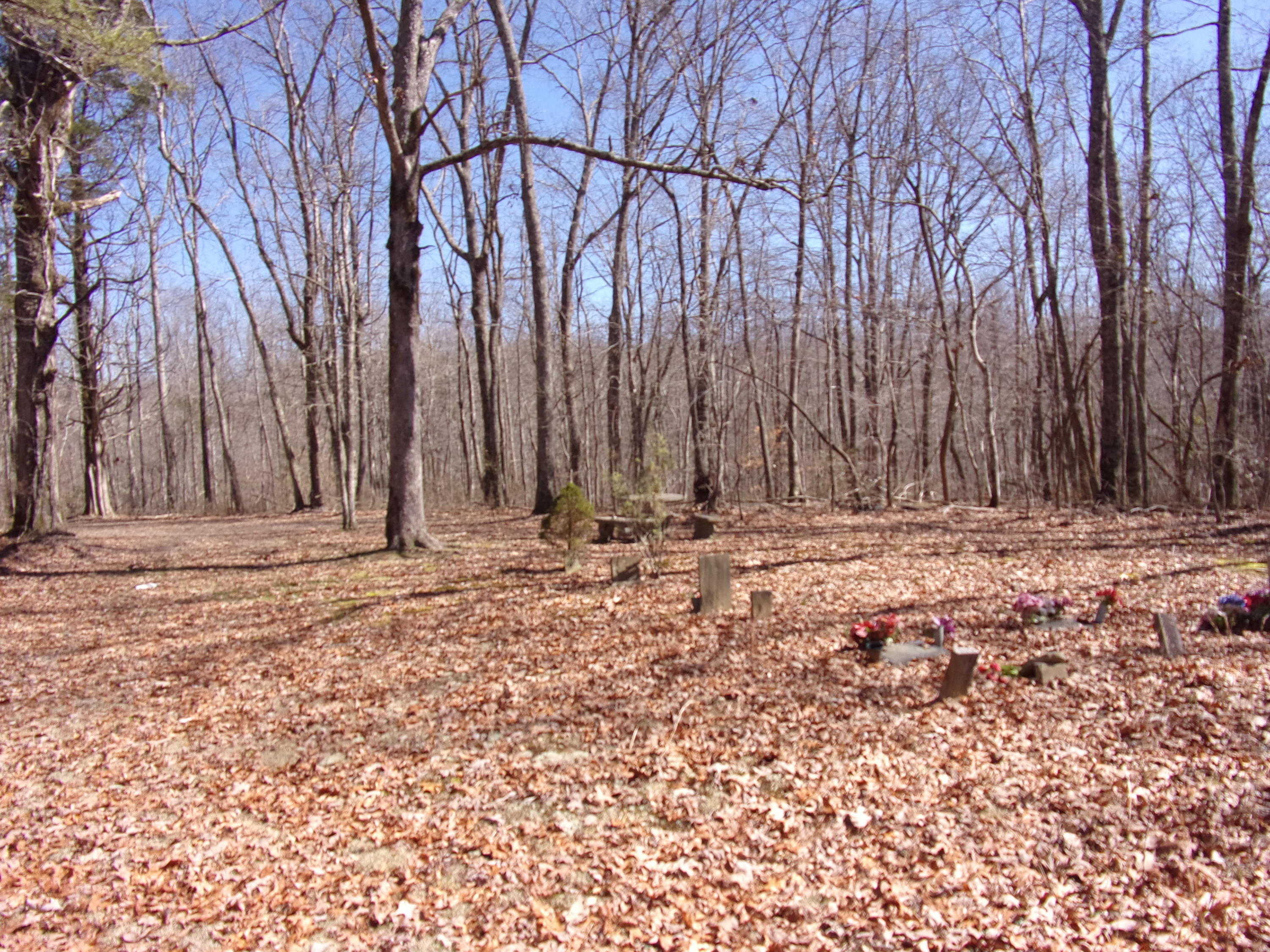0 Barbee Cemetery Road Pikeville, TN 37367 - Photo 41 of 43 101_2649