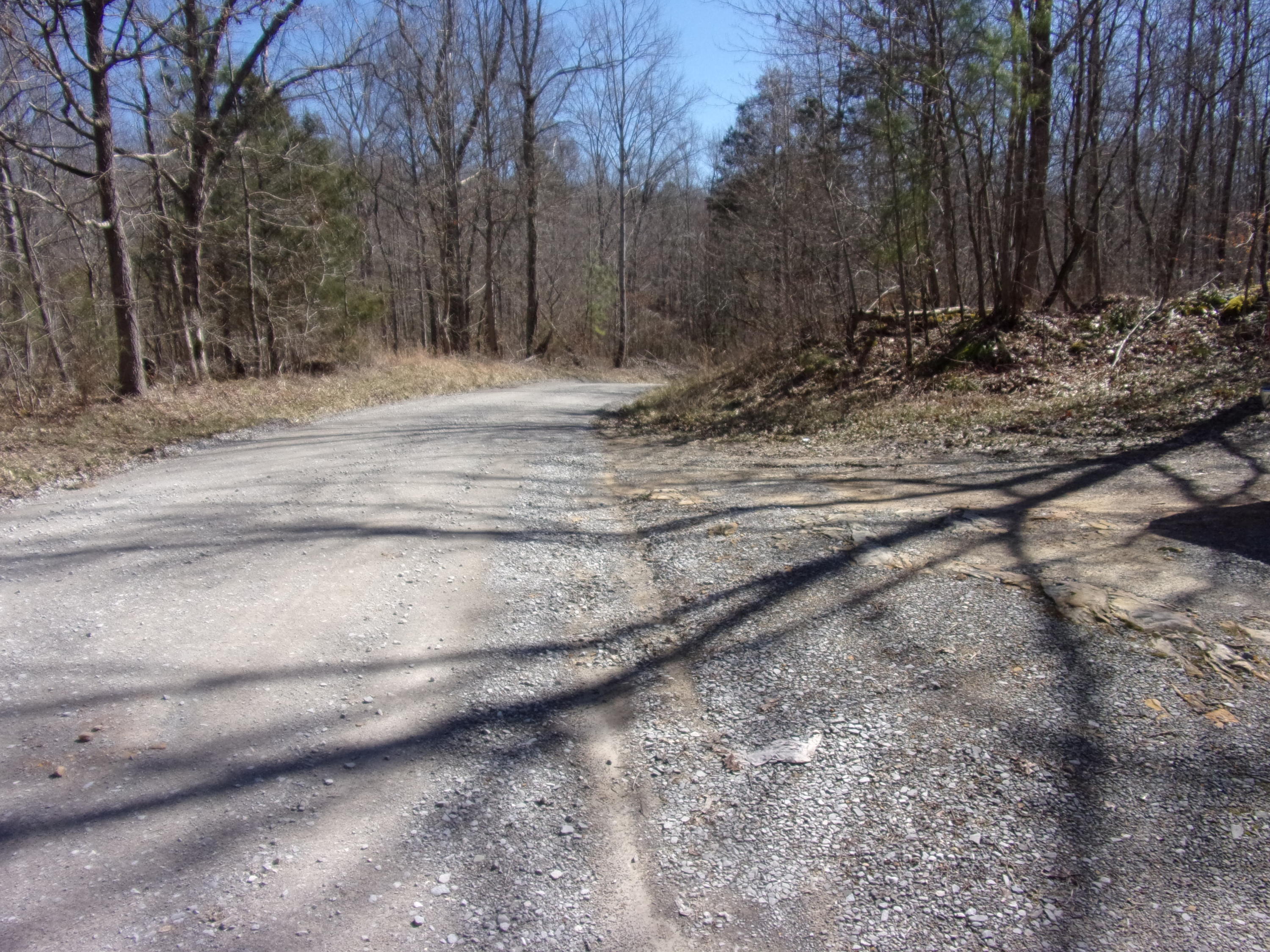 0 Barbee Cemetery Road Pikeville, TN 37367 - Photo 42 of 43 101_2630