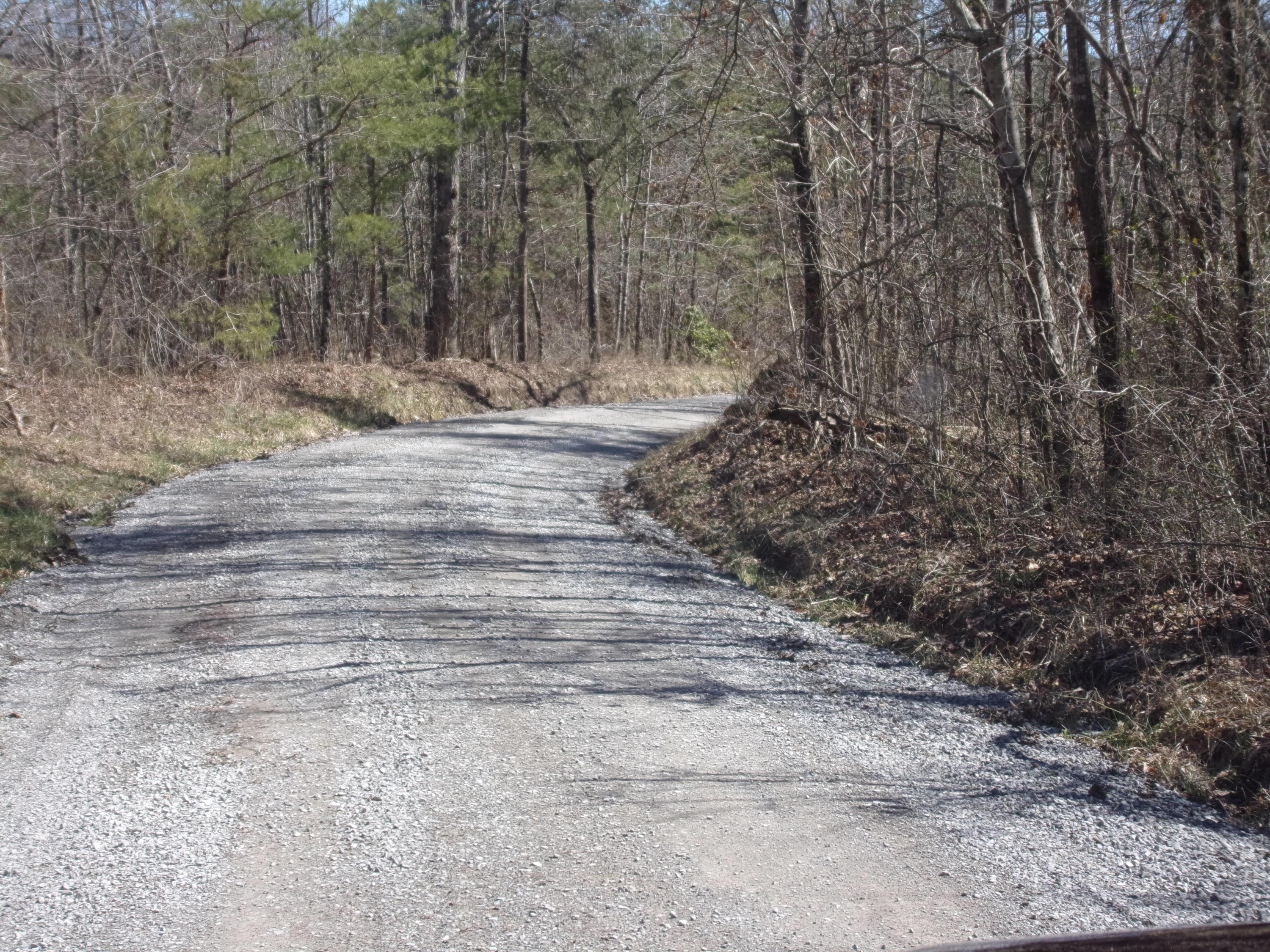 0 Barbee Cemetery Road Pikeville, TN 37367 - Photo 43 of 43 101_2628
