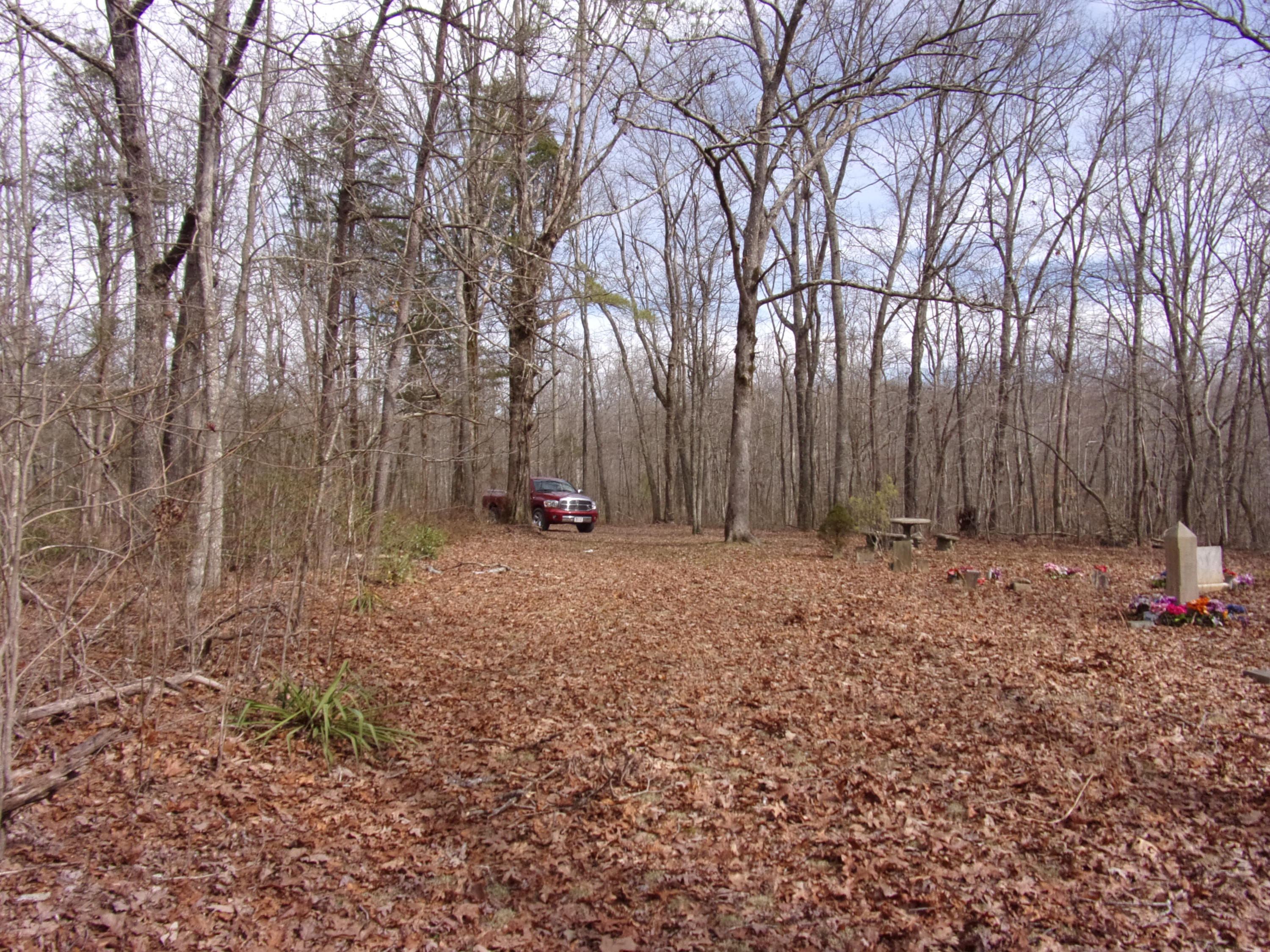 0 Barbee Cemetery Road Pikeville, TN 37367 - Photo 8 of 43 101_2416