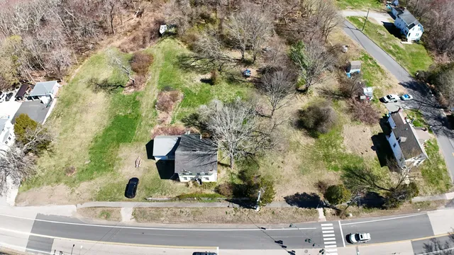 a view of a yard with plants and large trees