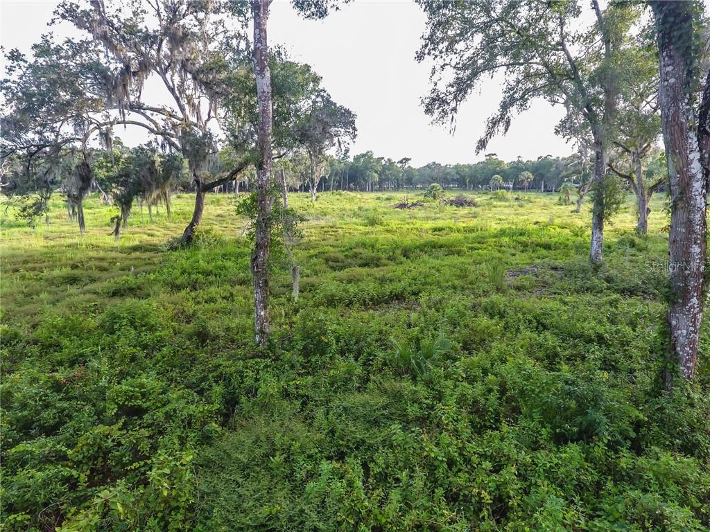 Agriculturally zoned high and dry 10 acre parcel on a quiet lane in DeLeon Springs.