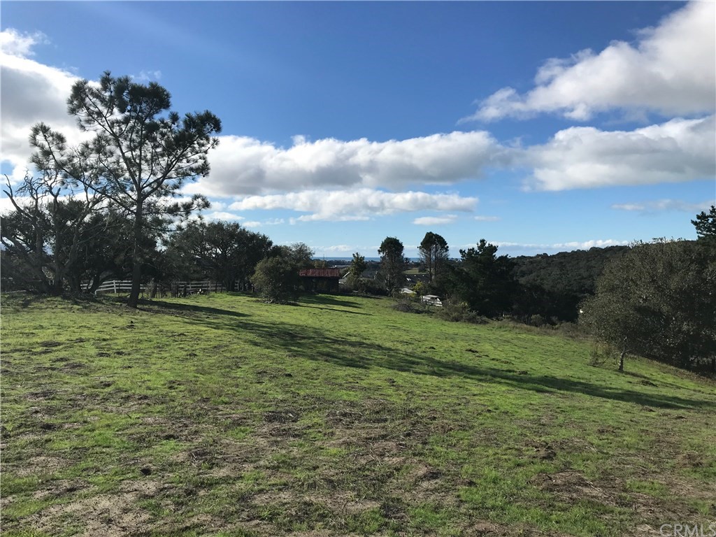 a view of a field with an trees