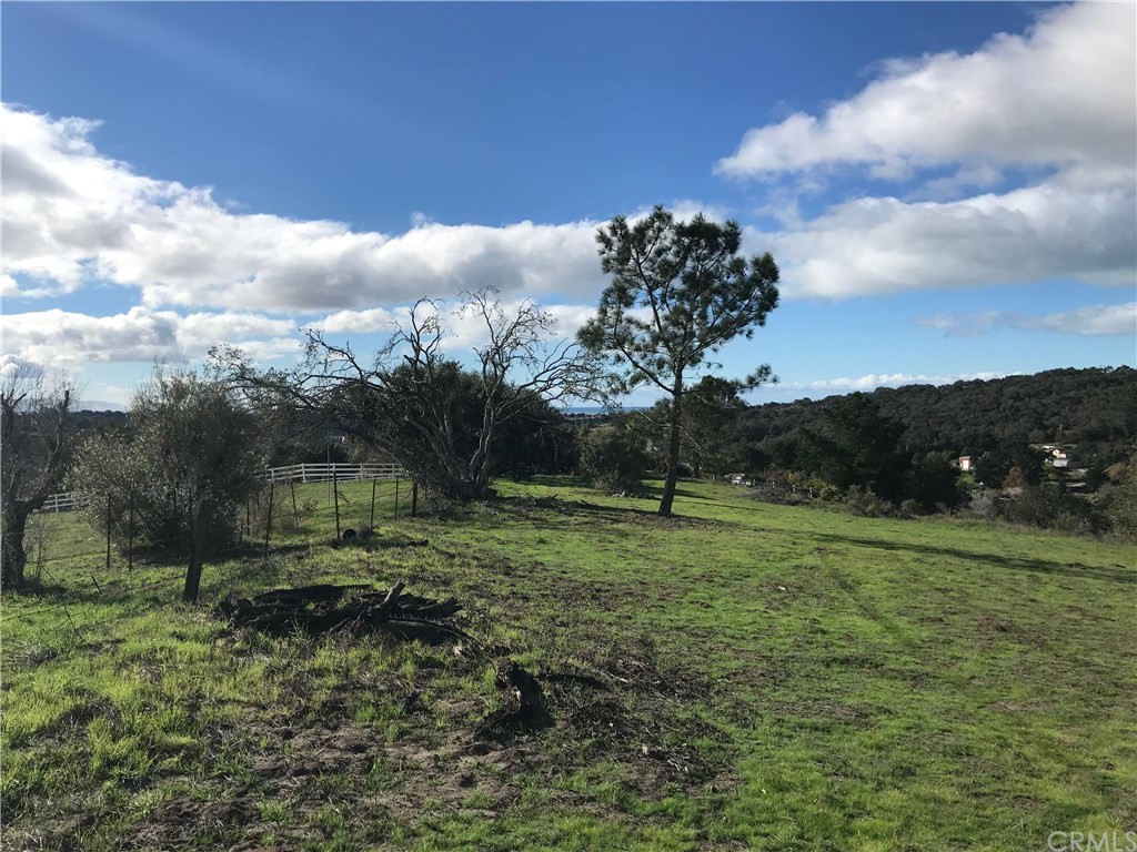 0 Old Oak Park Road Arroyo Grande, CA 93420 - Photo 3 of 8 a big yard with lots of green space