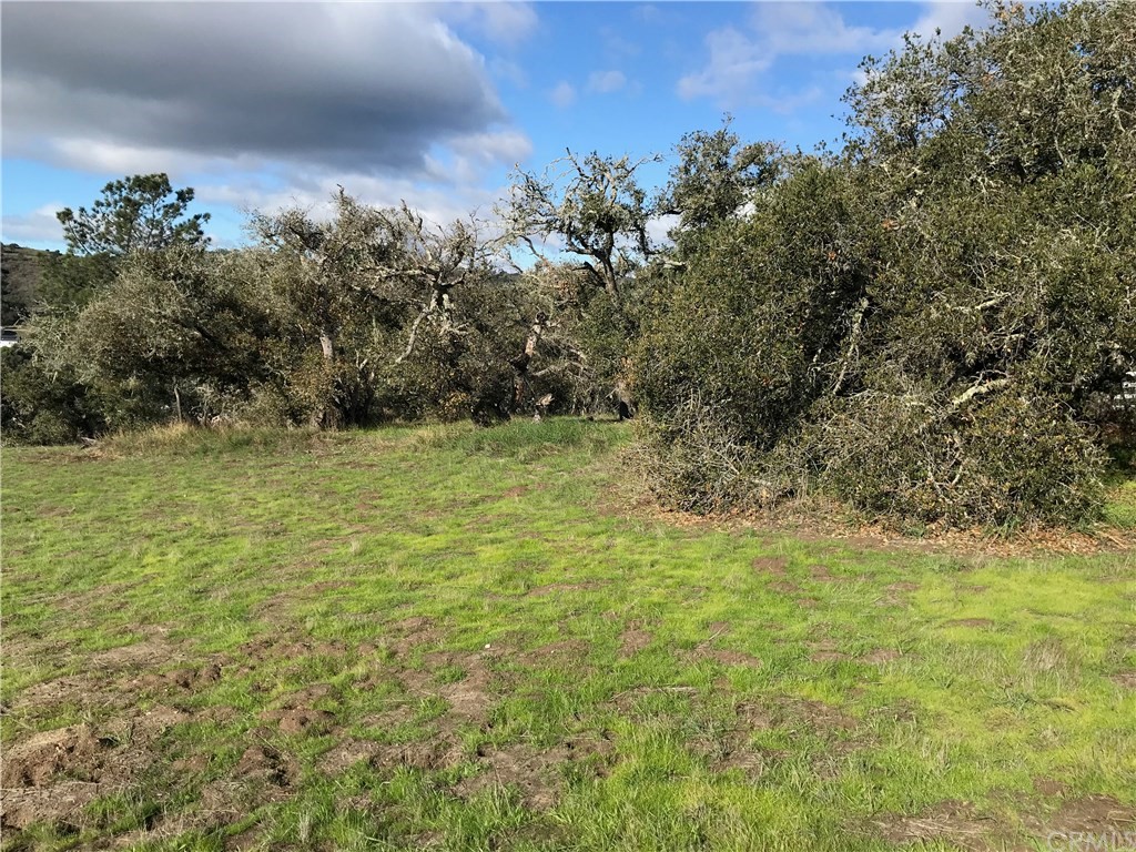 0 Old Oak Park Road Arroyo Grande, CA 93420 - Photo 4 of 8