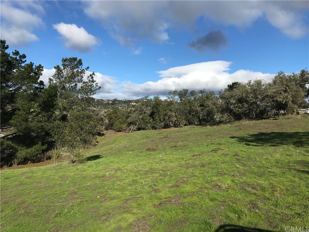 0 Old Oak Park Road Arroyo Grande, CA 93420 - Photo 5 of 8 a view of a big yard