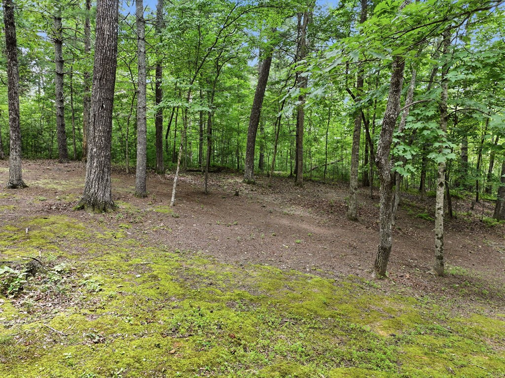 267 Vista Hills Road Murphy, NC 28906 - Photo 13 of 36 View of Yard off Deck