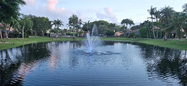 a body of water with a tree in the background