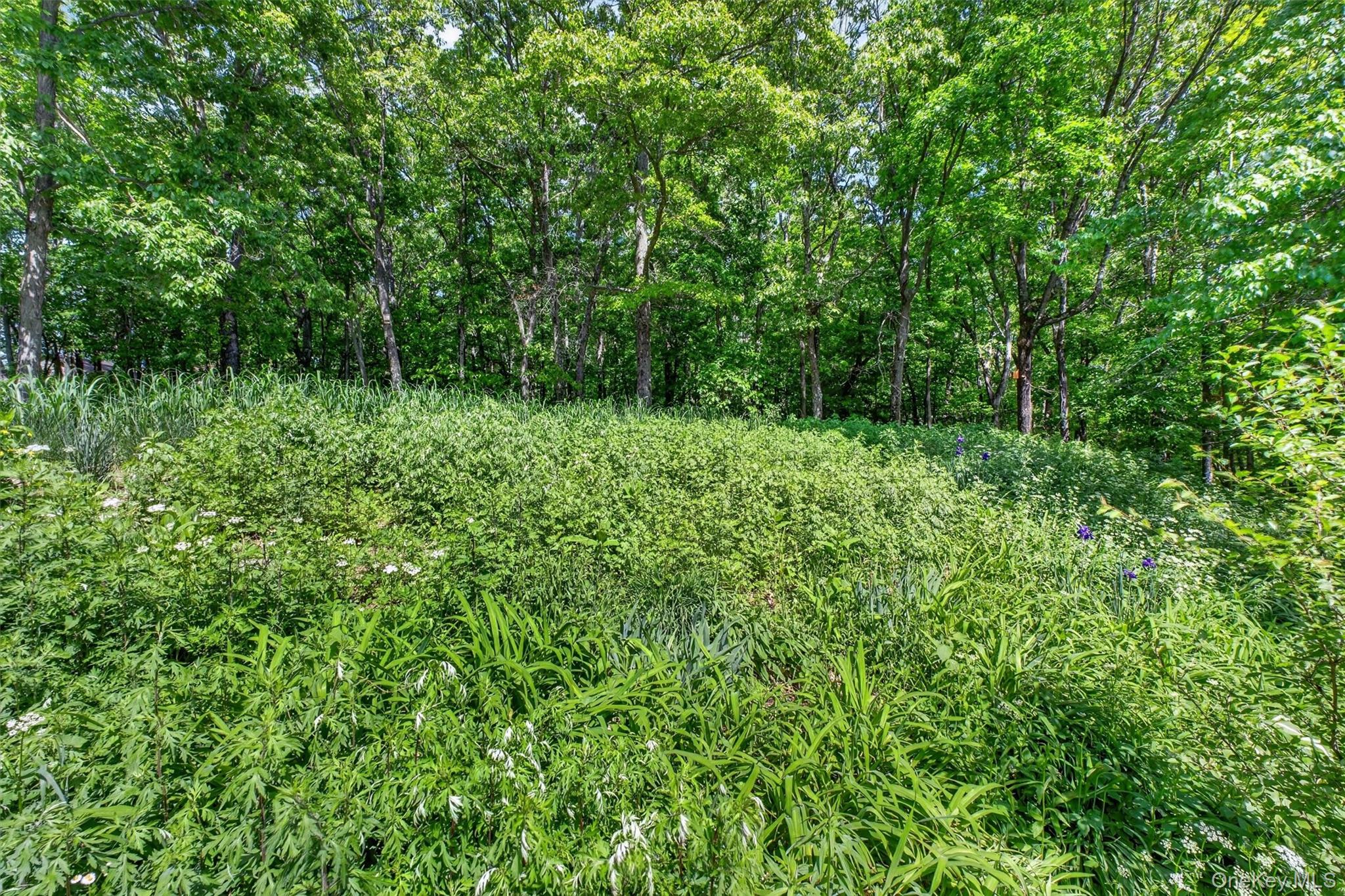60 Eddy Road Verbank, NY 12585 - Photo 36 of 48