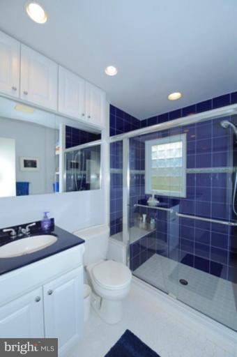 1224 Kathryn Road Silver Spring, MD 20904 - Photo 14 of 30 Master Bath