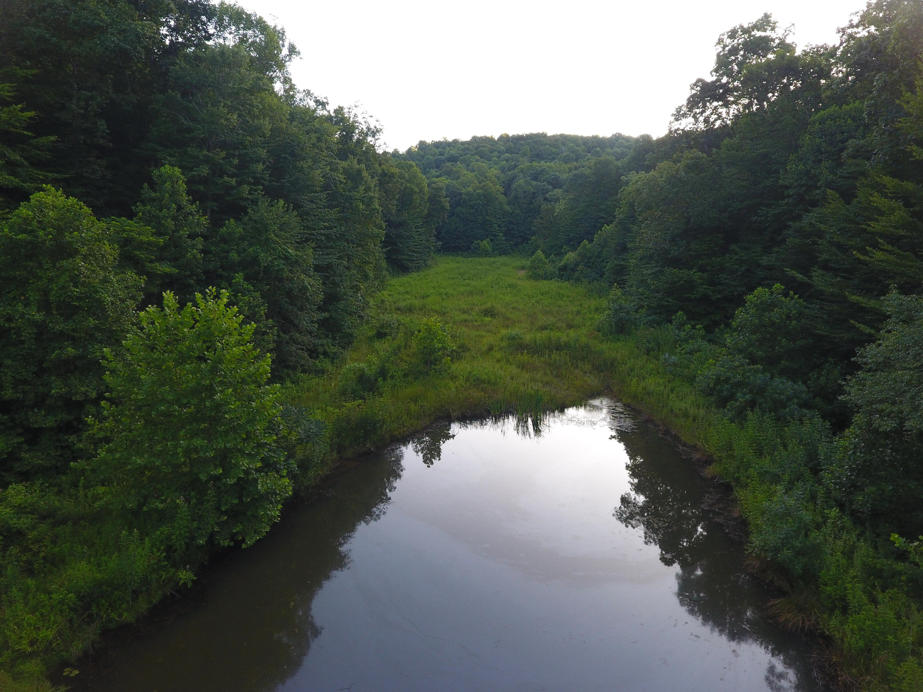 0 Spring Road Wallingford, KY 41093 - Photo 22 of 48 DJI_0445_273